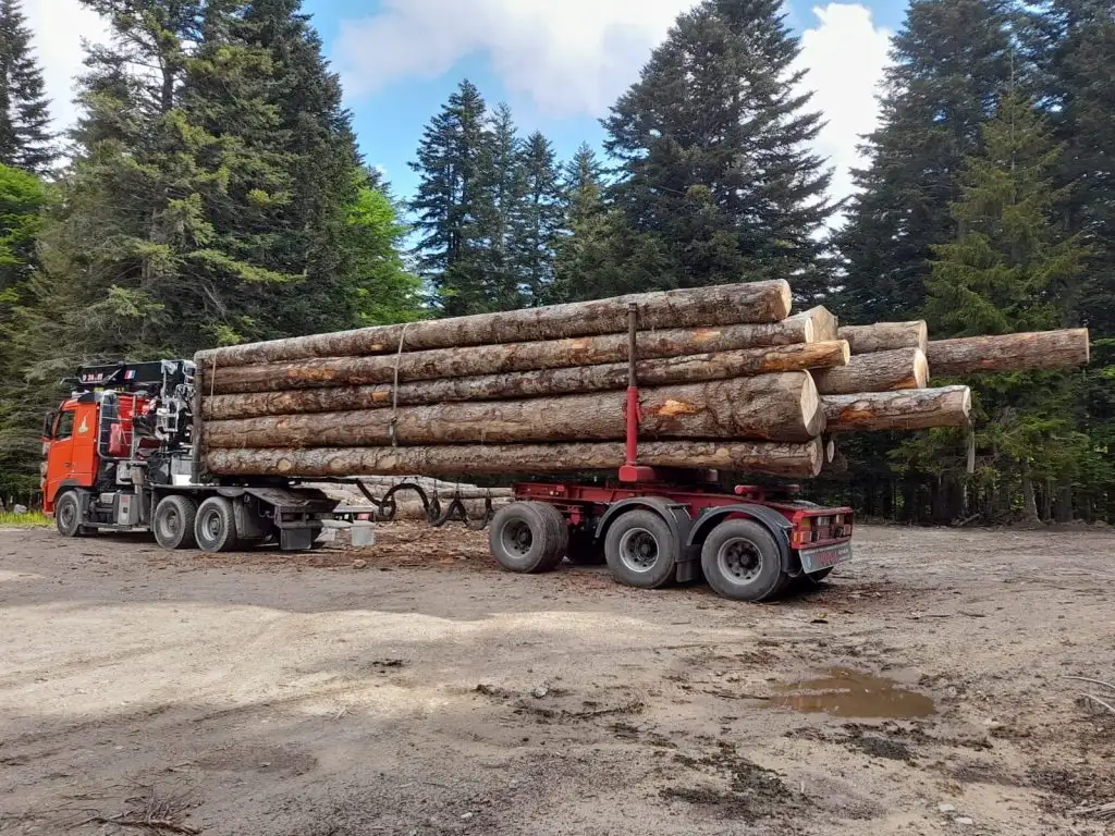 transporte forestal