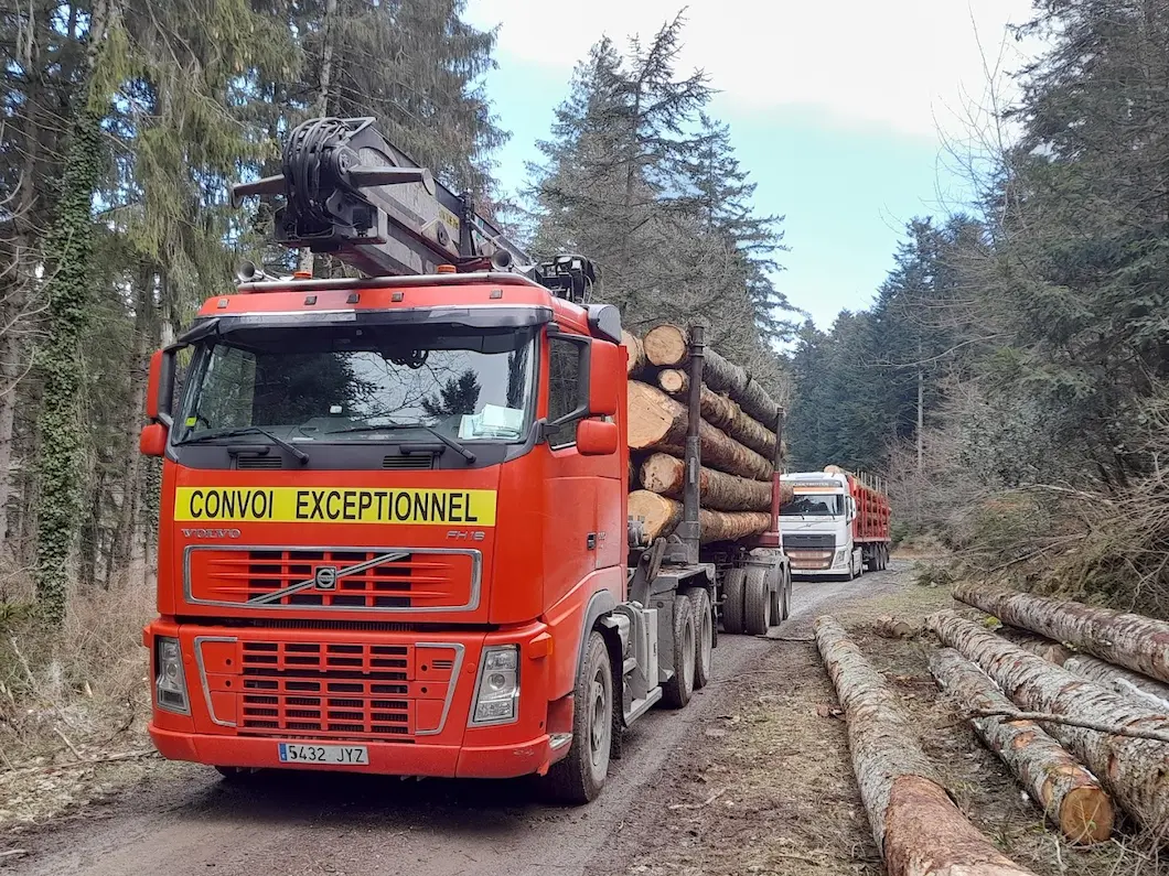 transporte forestal a la cerdanya