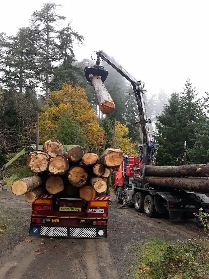 Transports forestals a La Cerdanya